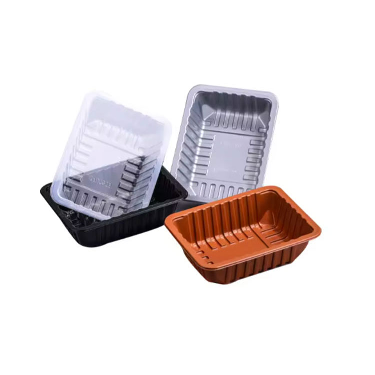 Disposable Food Packaging Trays