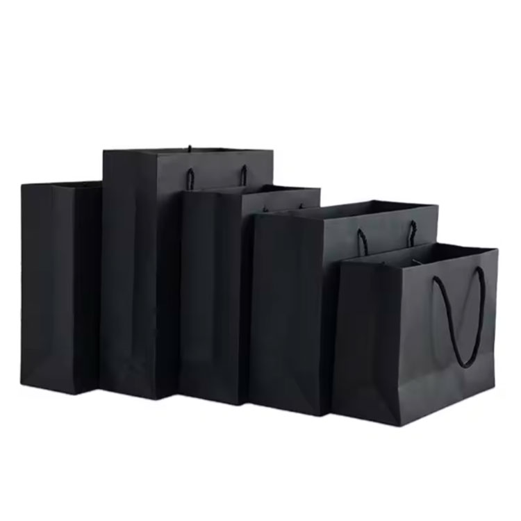 Luxury Printed Shopping Paper Bag