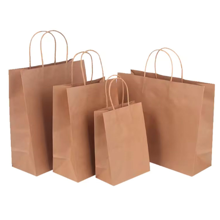 Paper Bag with Paper Handle